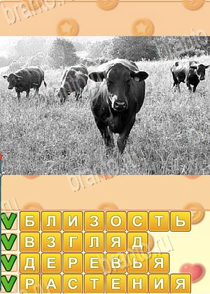 Искатель слов игра відповіді в одноклассниках уровень 1758