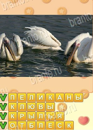 приложение Искатель слов ответы на все задания уровень 1759