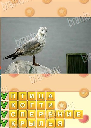 Искатель слов ответ на уровень 1761