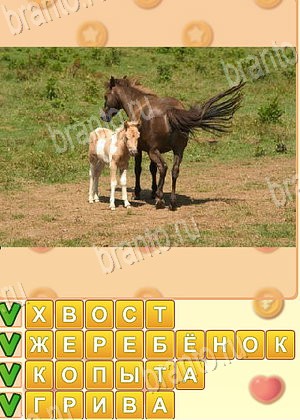 ответы на игру Искатель слов уровень 1762