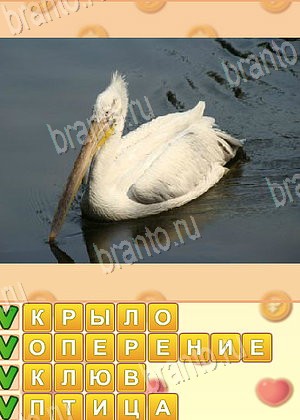 ответы на игру Искатель слов уровень 1766