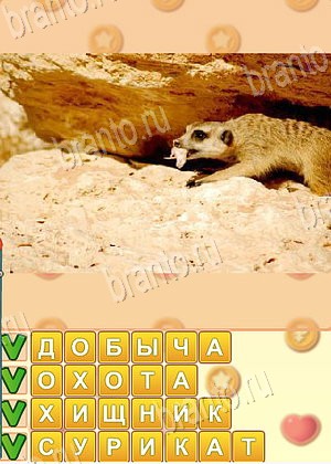 ответы на игру Искатель слов уровень 1767