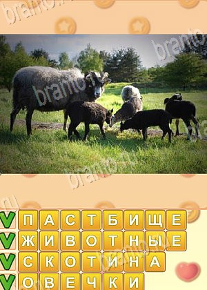 ответы на игру Искатель слов уровень 1768