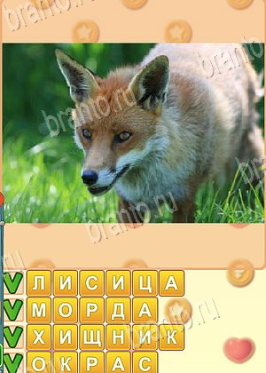 Искатель слов игра ответы Одноклассники уровень 1770