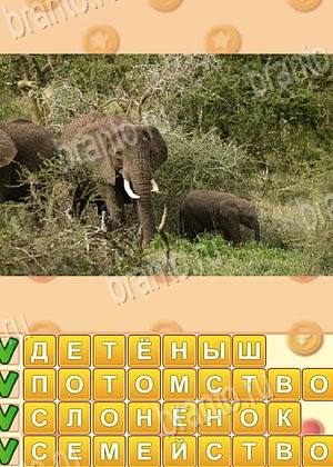 ответы на игру Искатель слов уровень 1771