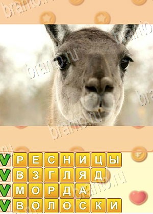 подсказки на игру Искатель слов уровень 1772