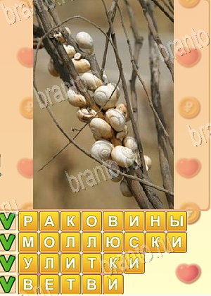 ответы на игру Искатель слов в контакте уровень 1775