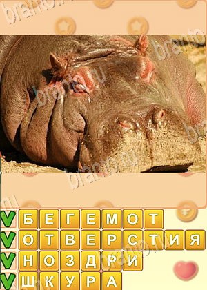 игра Искатель слов ответы в контакте уровень 1776