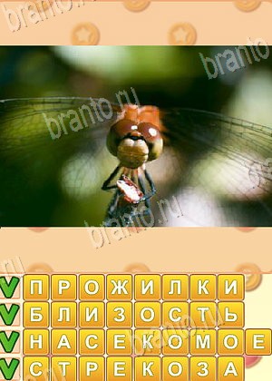 игра Искатель слов решения уровень 1779