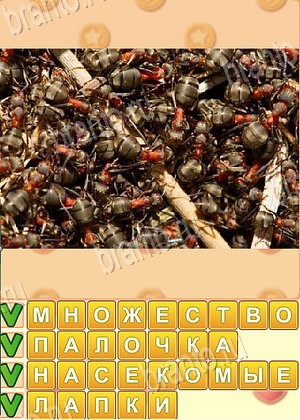Искатель слов ответ на уровень 1782