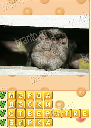 ответы на игру Искатель слов ОК уровень 1785