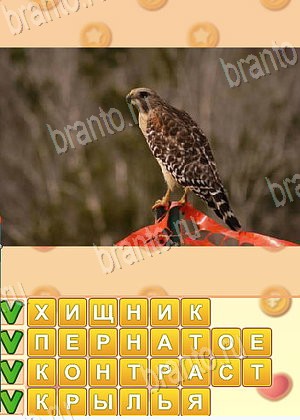 Искатель слов игра решения уровень 1786