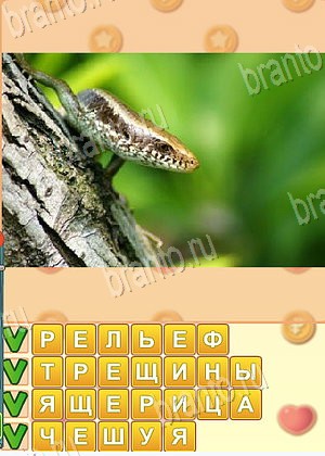 Искатель слов игра відповіді в одноклассниках уровень 1788