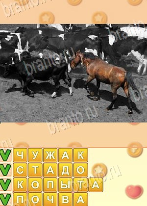 ответы на игру Искатель слов уровень 1790