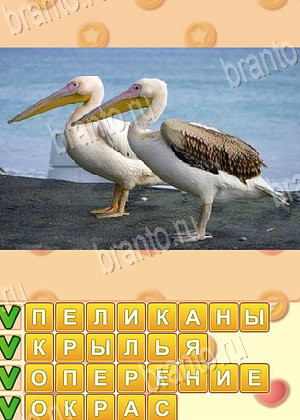 Искатель слов ответ на уровень 1791