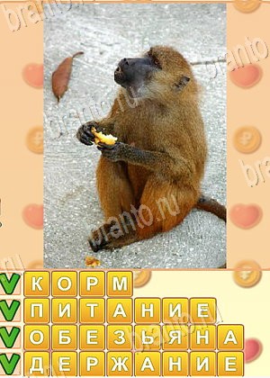 Искатель слов Одноклассники ответ на уровень 1793