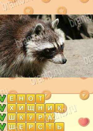 ответы на игру Искатель слов уровень 1794