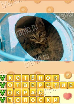 ответы на игру Искатель слов уровень 1797