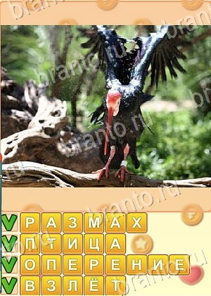 игра Искатель слов ответы в контакте уровень 1836