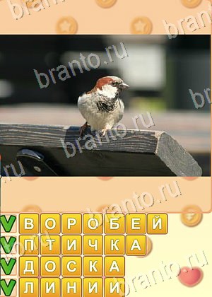 игра Искатель слов подсказки одноклассники уровень 1837