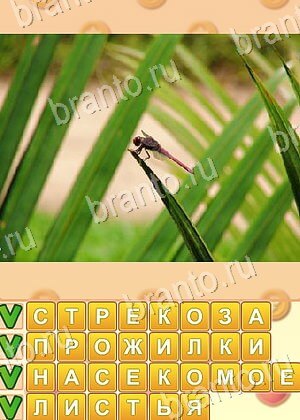 Искатель слов игра ответы Одноклассники уровень 1843