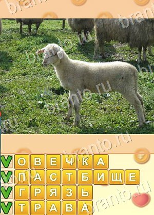 Искатель слов игра решения уровень 1846