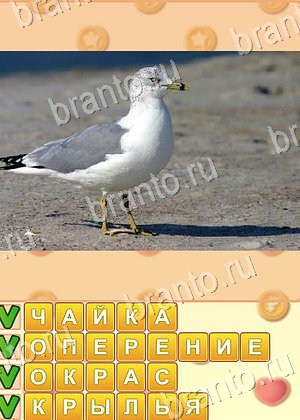 ответы на игру Искатель слов уровень 1850