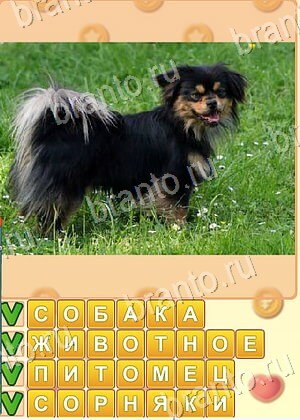 ответы на игру Искатель слов уровень 1852