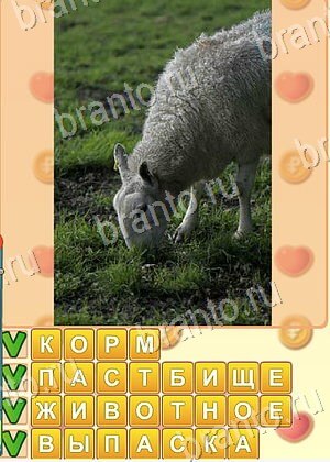 ответы на игру Искатель слов уровень 1856