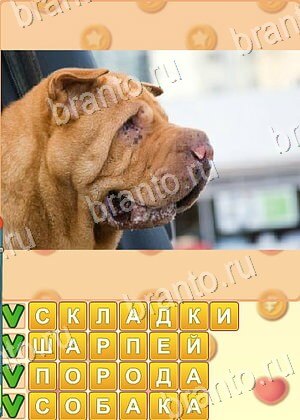 ответы на игру Искатель слов уровень 1857