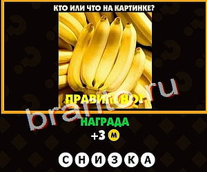 ответы на игру Поломай голову Уровень 157