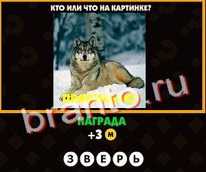 Поломай голову ответы в картинках Уровень 176