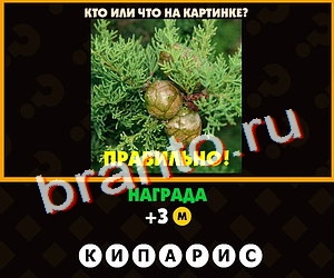 Поломай голову помощь в картинках Уровень 191