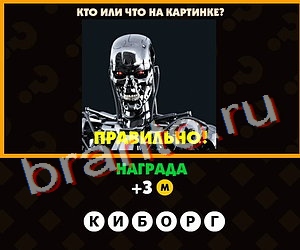 Поломай голову помощь Уровень 210