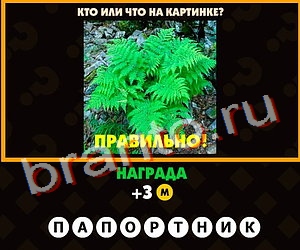 Игра Поломай голову подсказки Уровень 218