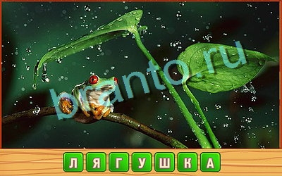 решебник на игру Потерянные слова Уровень 362