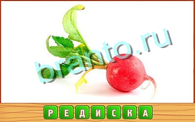 Потерянные слова ответы в картинках в контакте Уровень 367