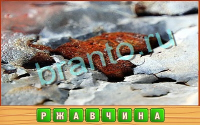 Потерянные слова игра ответы Уровень 374