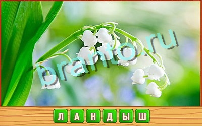 Потерянные слова игра помощь в контакте Уровень 376