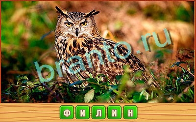 игра Потерянные слова ответ одноклассники на Уровень 381