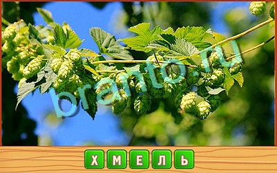 Потерянные слова игра ответы в одноклассниках Уровень 388