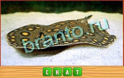 игра Потерянные слова ответ на Уровень 391