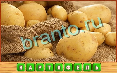 решебник на игру Потерянные слова Уровень 242