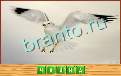 Потерянные слова игра в одноклассниках помощьУровень 246