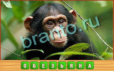 решебник на игру Потерянные слова Уровень 252