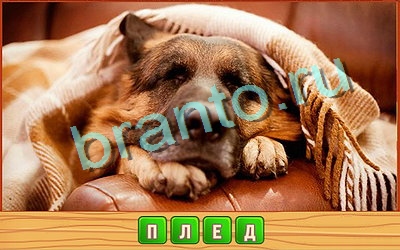 Решения на игру Потерянные слова Уровень 264