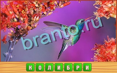 игра Потерянные слова ответ на Уровень 271