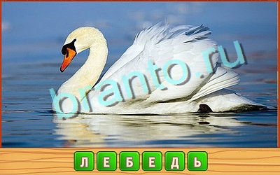 Потерянные слова ответы в картинках Уровень 337