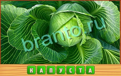 Подсказки на игру Потерянные слова Уровень 343