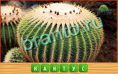 ответы на игру в одноклассниках Потерянные слова Уровень 347